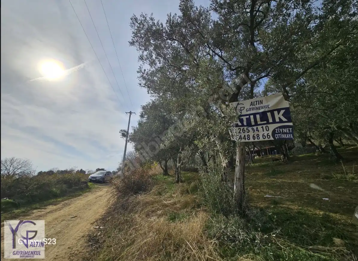 Yenişehir Kavaklı Köyünde Satılık Tarla